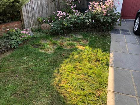 rubbish removal After