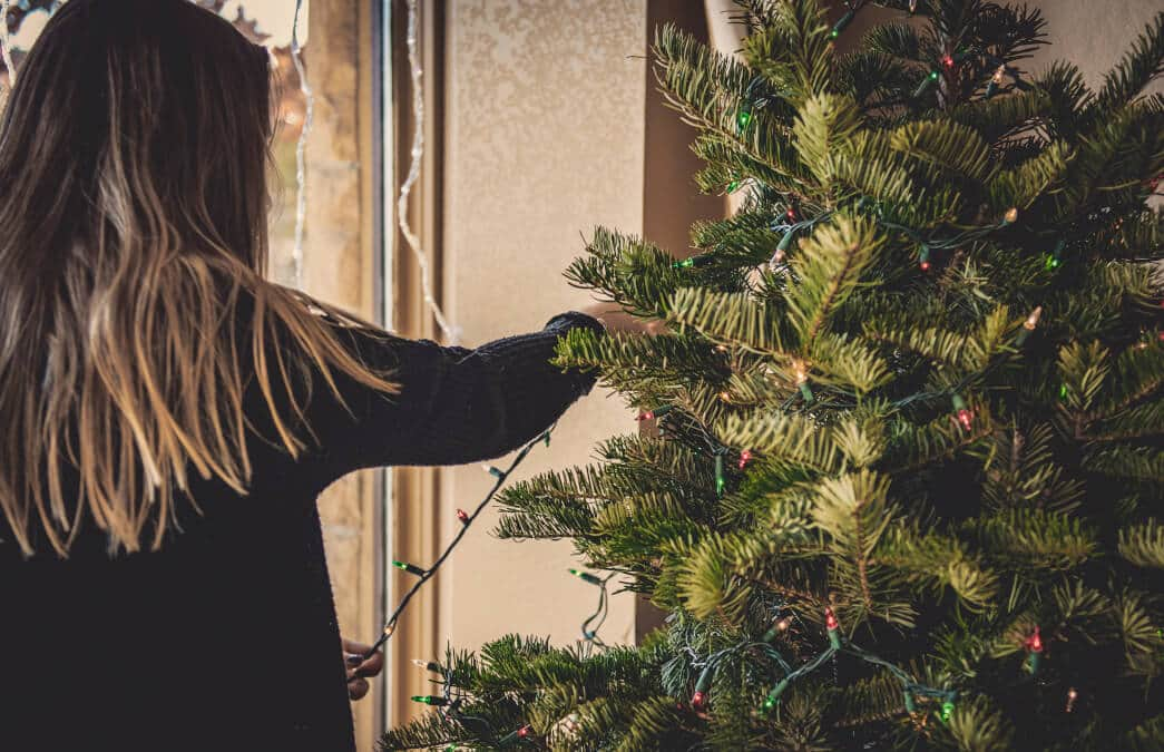 Christmas tree collection in Croydon