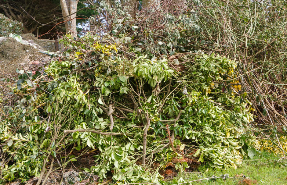 Garden waste 22